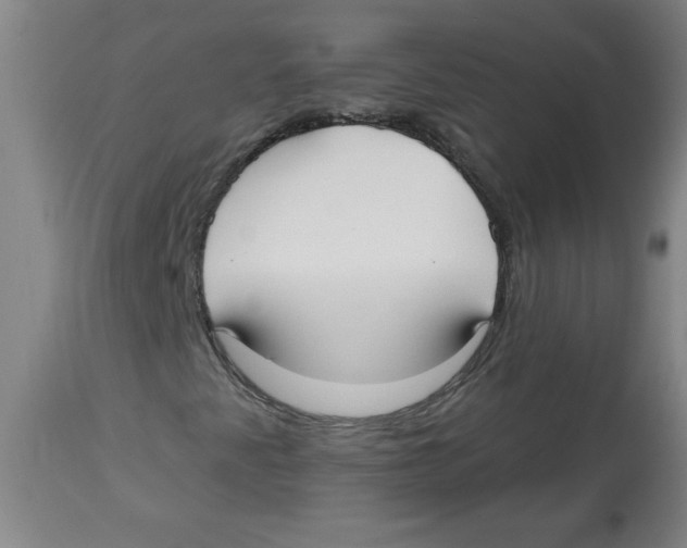 X0000113131345200910021406