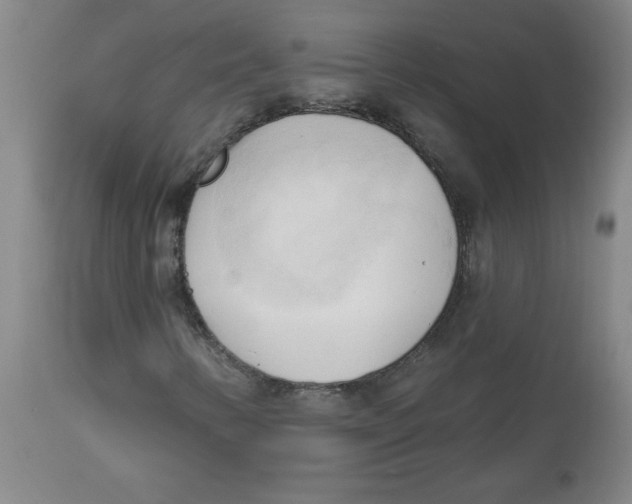 X0000113131346200910021406