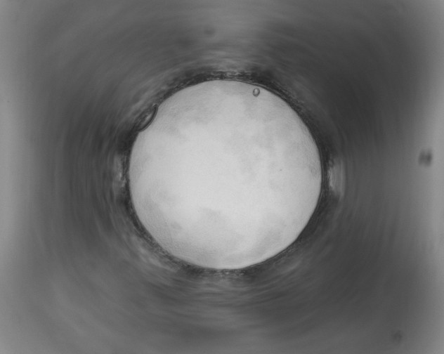 X0000113131347200910021406