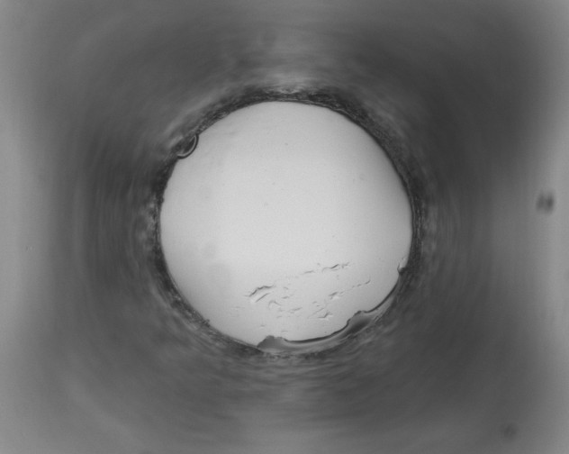 X0000113131349200910021406