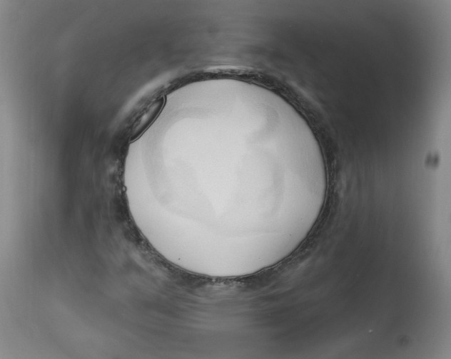 X0000113131351200910021406