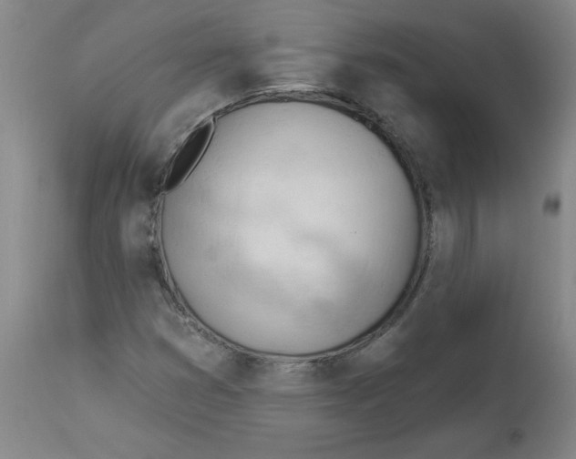 X0000113131353200910021406