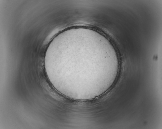 X0000113131355200910021406