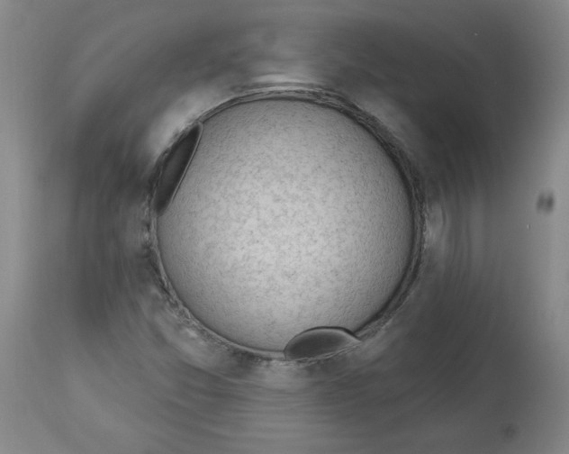 X0000113131357200910021406