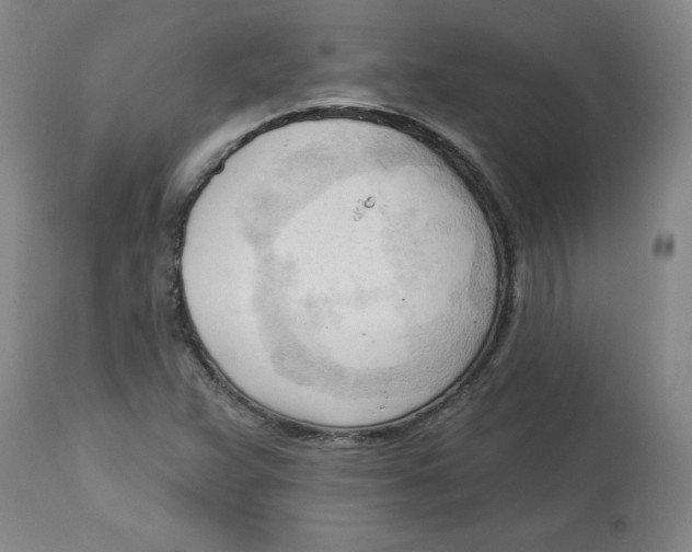 X0000113131359200910021406