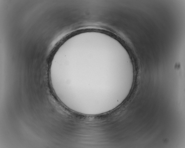 X0000113131360200910021406