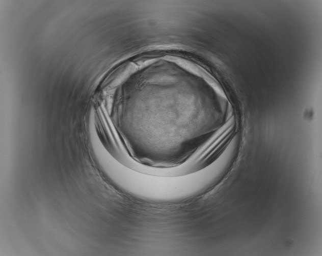 X0000113131361200910021406