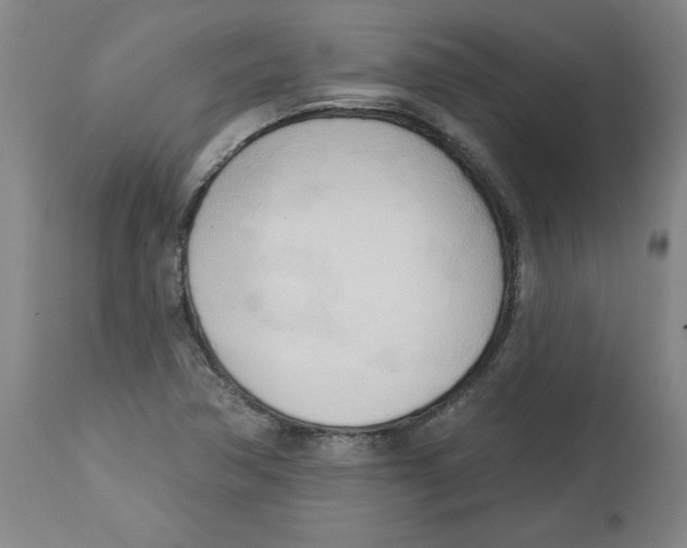 X0000113131362200910021406