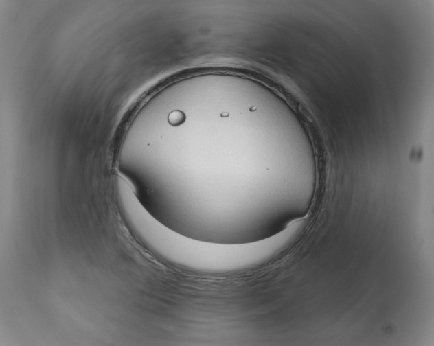 X0000113131364200910021406