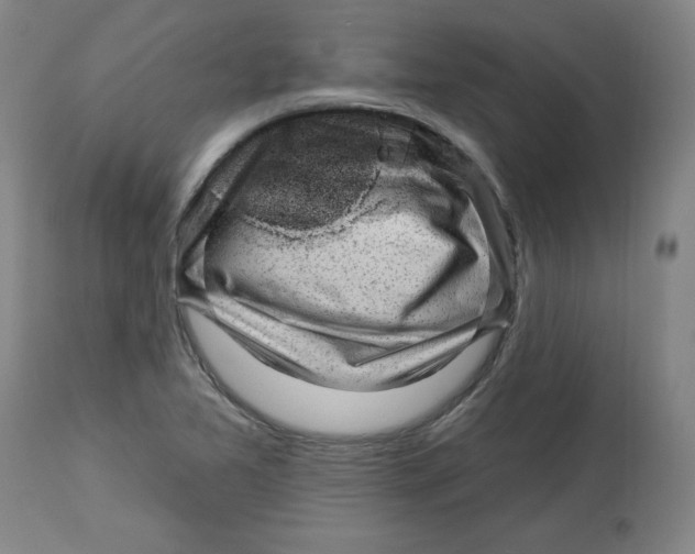 X0000113131365200910021406