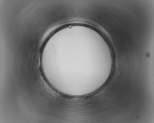 X0000113131368200910021406