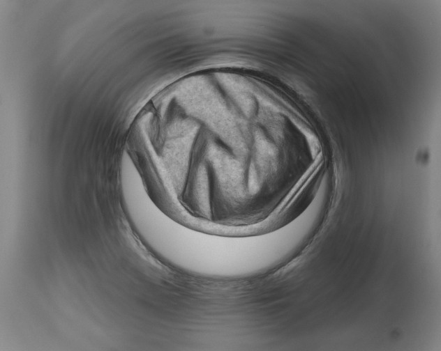 X0000113131369200910021406