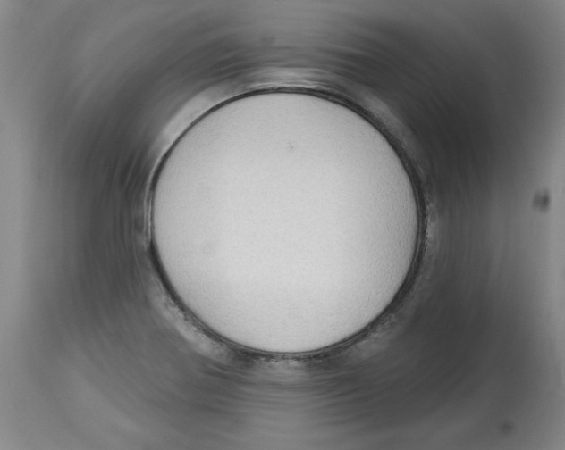 X0000113131370200910021406