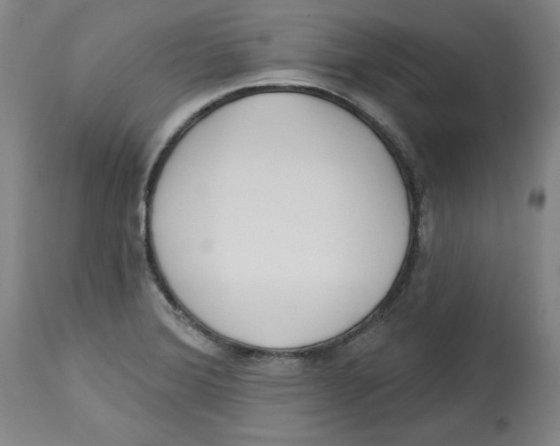 X0000113131372200910021406