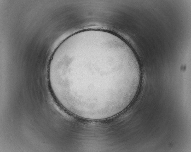 X0000113131375200910021406