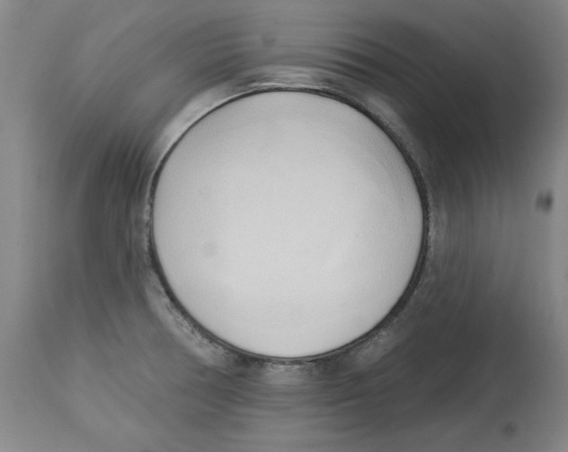 X0000113131378200910021405