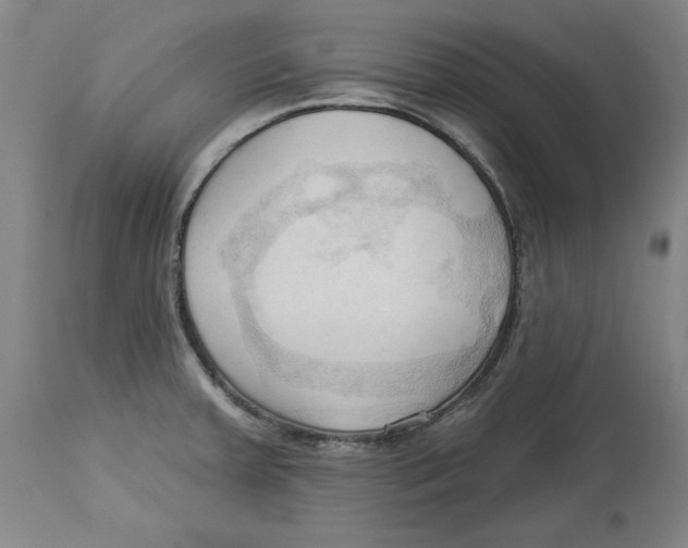 X0000113131379200910021405