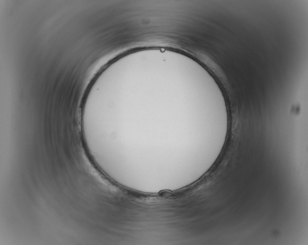 X0000113131380200910021405