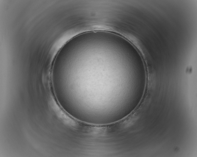 X0000113131381200910021405