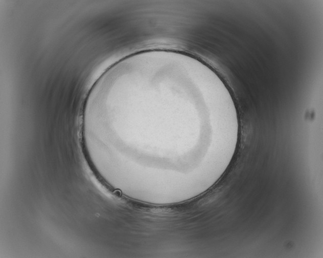 X0000113131383200910021405