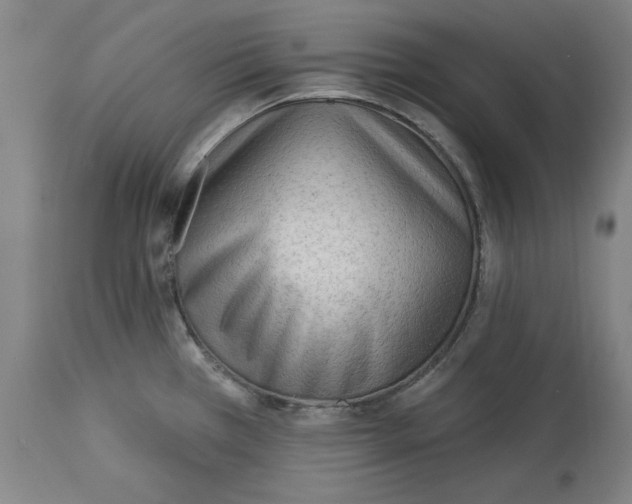 X0000113131385200910021405