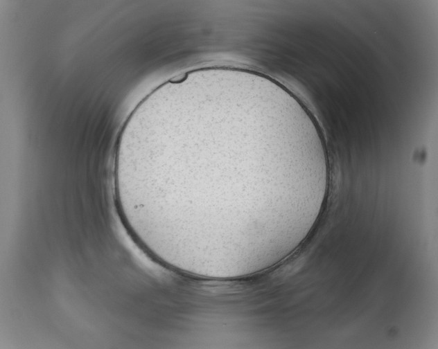 X0000113131391200910021405