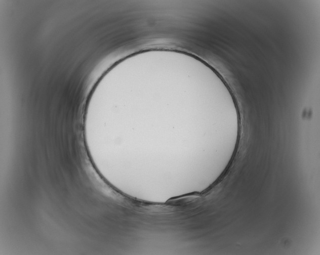 X0000113131392200910021405