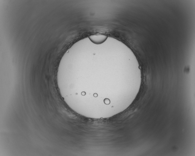 X0000113131393200910021405