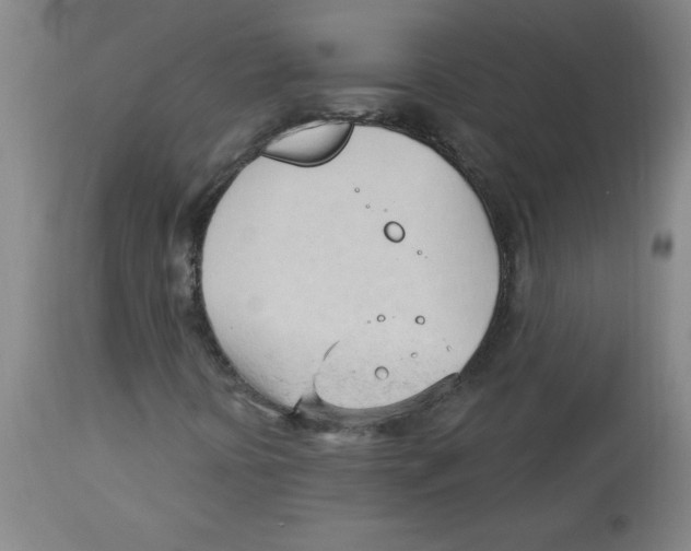 X0000113131394200910021405