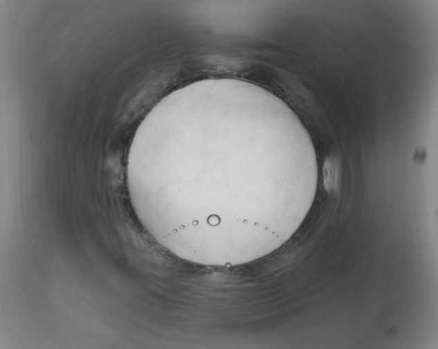 X0000113131395200910021405