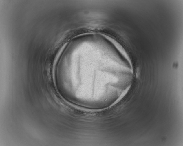 X0000113131396200910021405