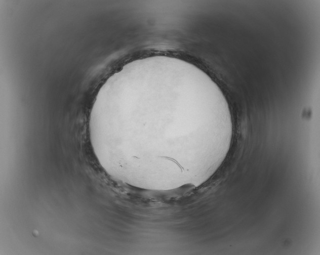 X0000113131398200910021405