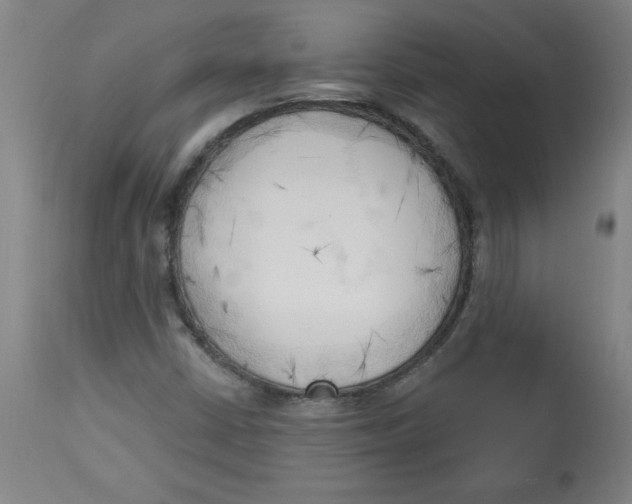 X0000113131402200910021405