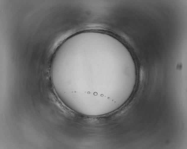 X0000113131405200910021405