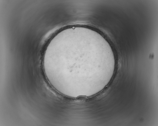 X0000113131406200910021405