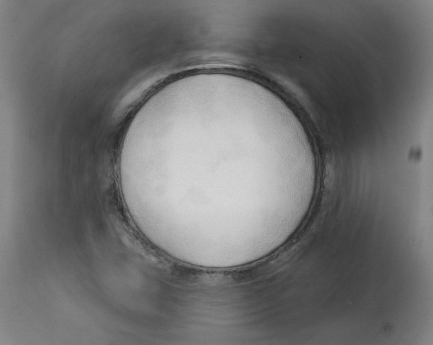 X0000113131407200910021405