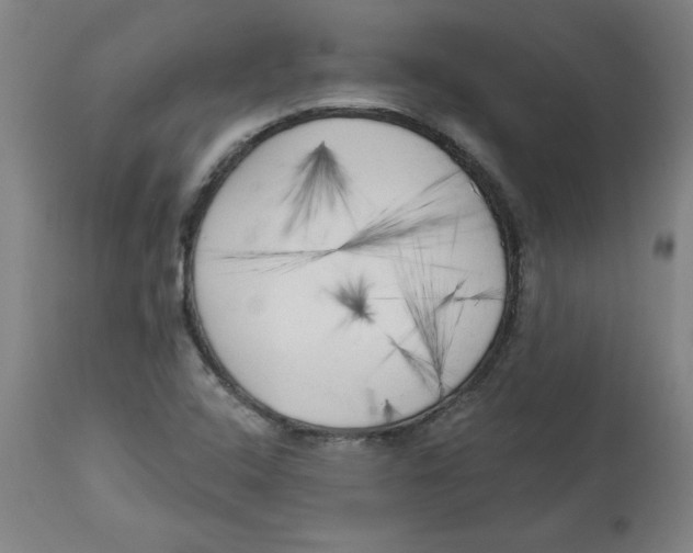 X0000113131408200910021405