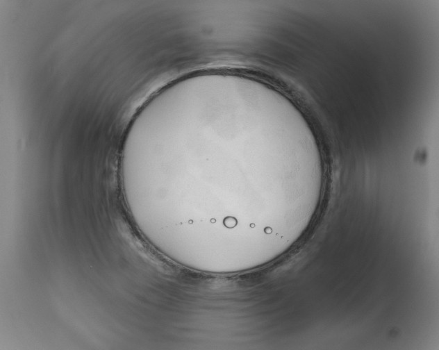 X0000113131409200910021405