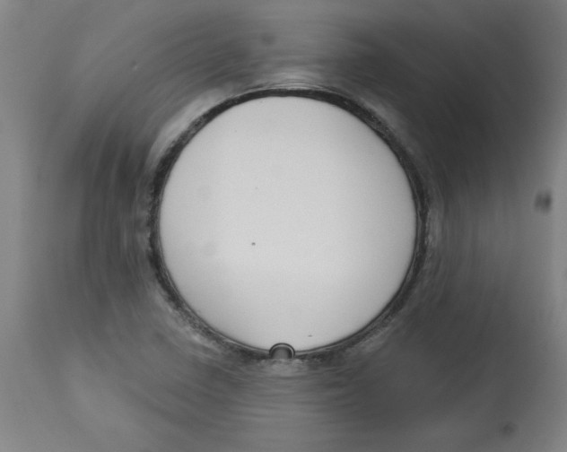 X0000113131410200910021405