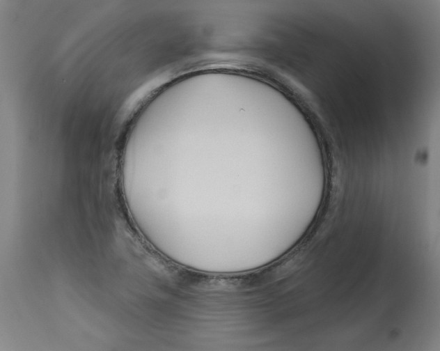 X0000113131411200910021405