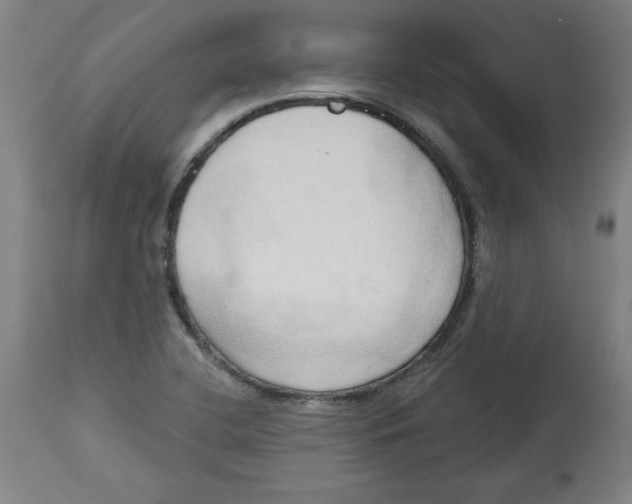 X0000113131412200910021405