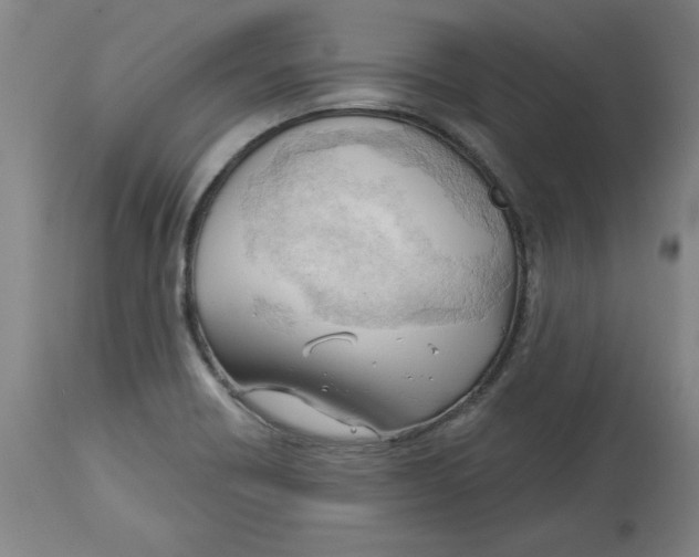 X0000113131418200910021405