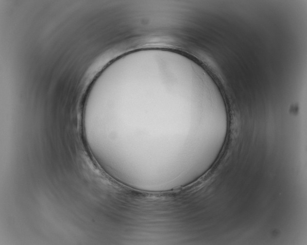 X0000113131419200910021405