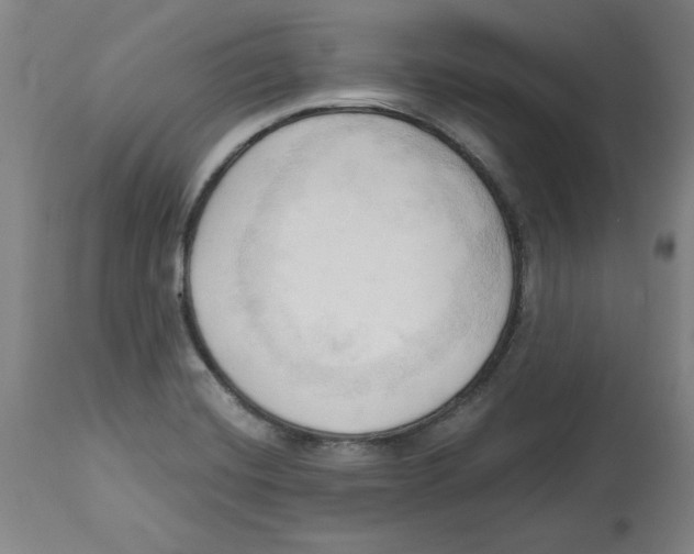 X0000113131420200910021405