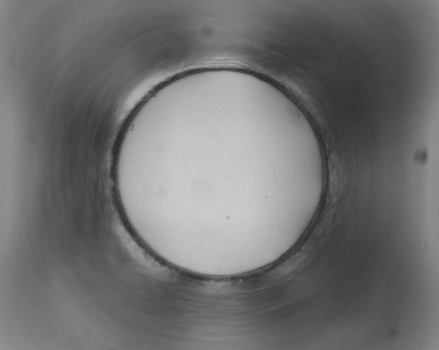 X0000113131422200910021405