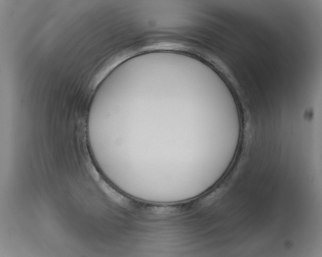 X0000113131425200910021405