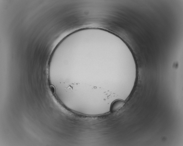 X0000113131428200910021405