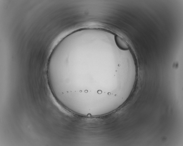 X0000113131429200910021405