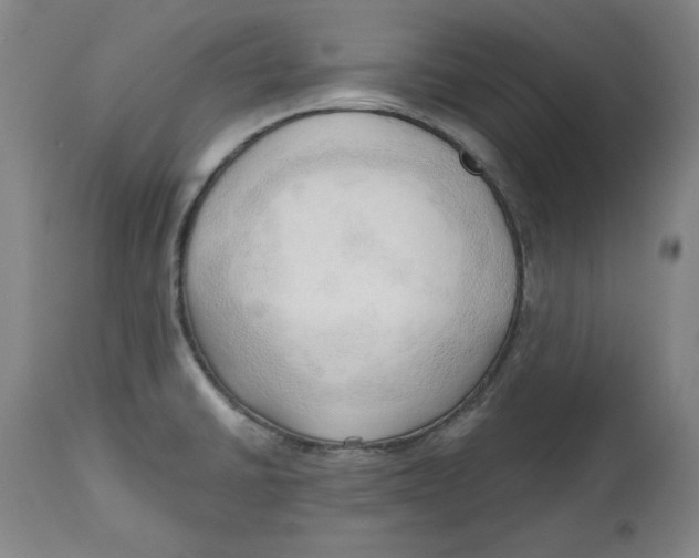 X0000113131430200910021405