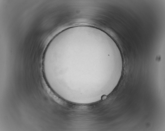 X0000113131431200910021405